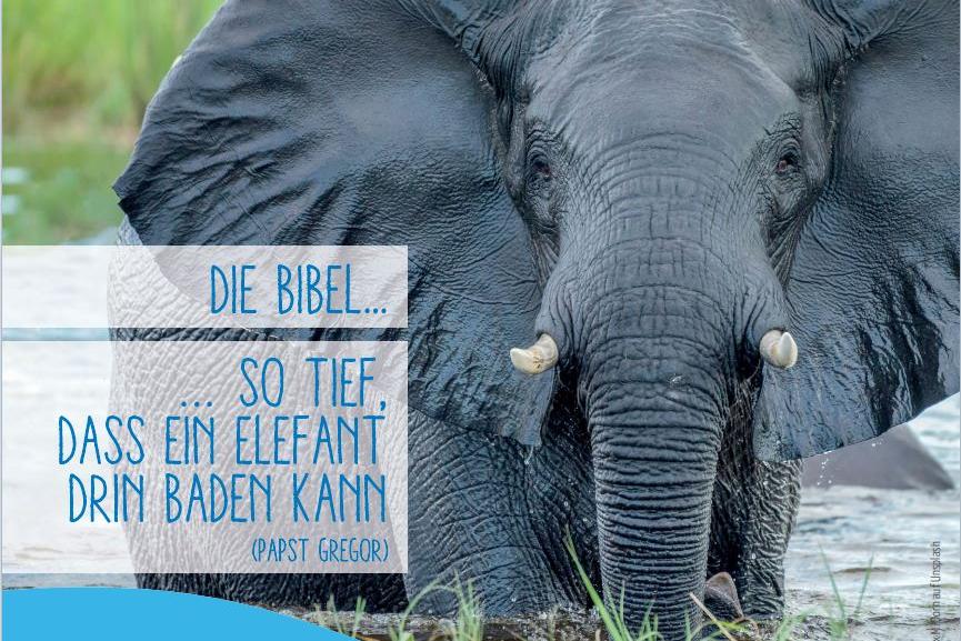 Bibel-WE_2025
