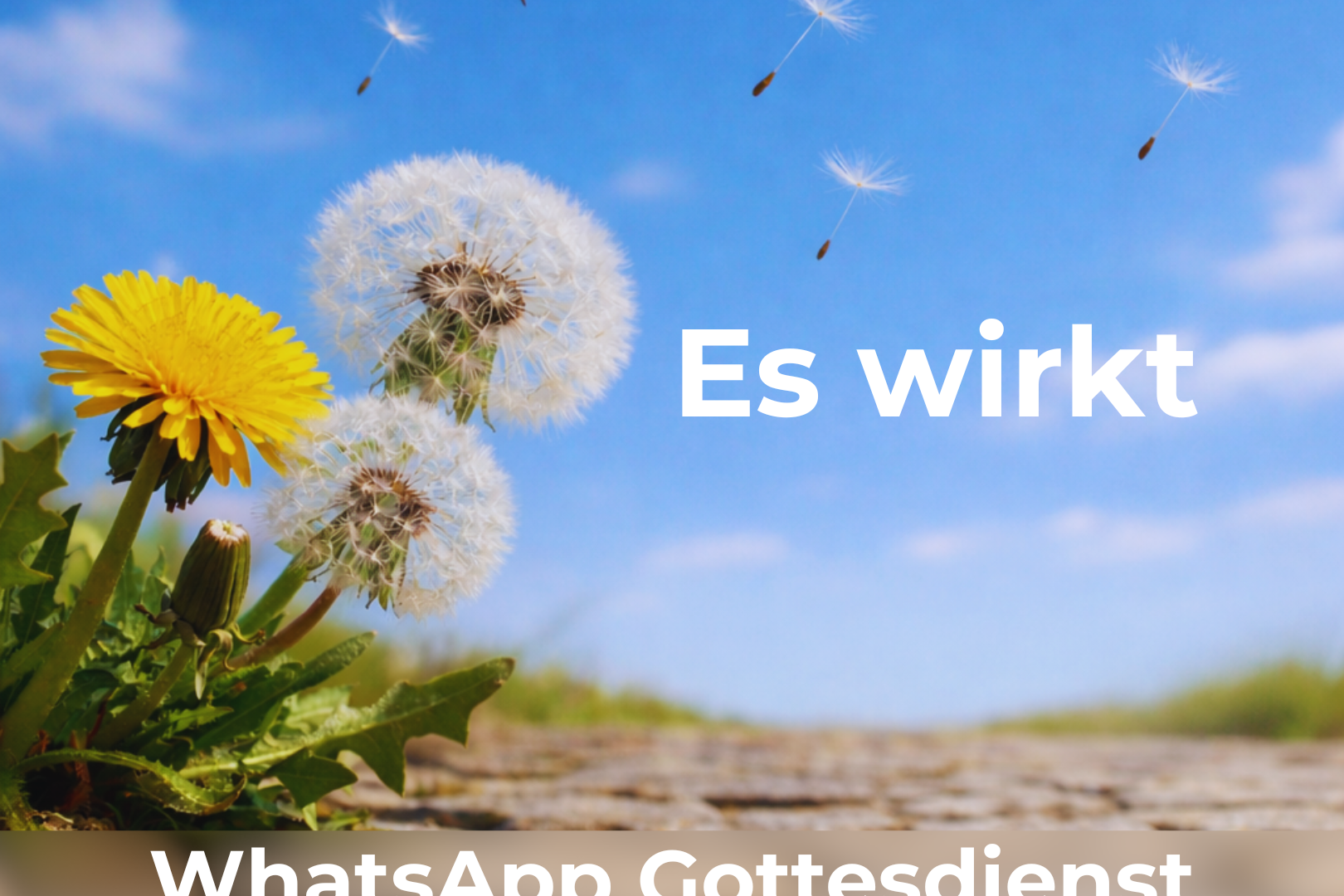 SSB_WhatsApp_Es-wirkt